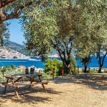 Olive Grove Apartment Skopelos Extérieur photo