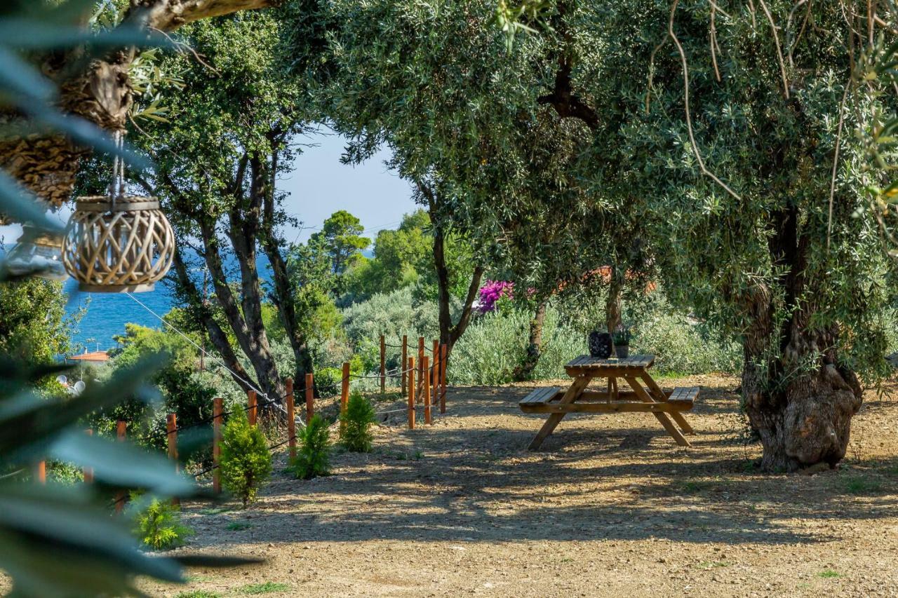 Olive Grove Apartment Skopelos Extérieur photo