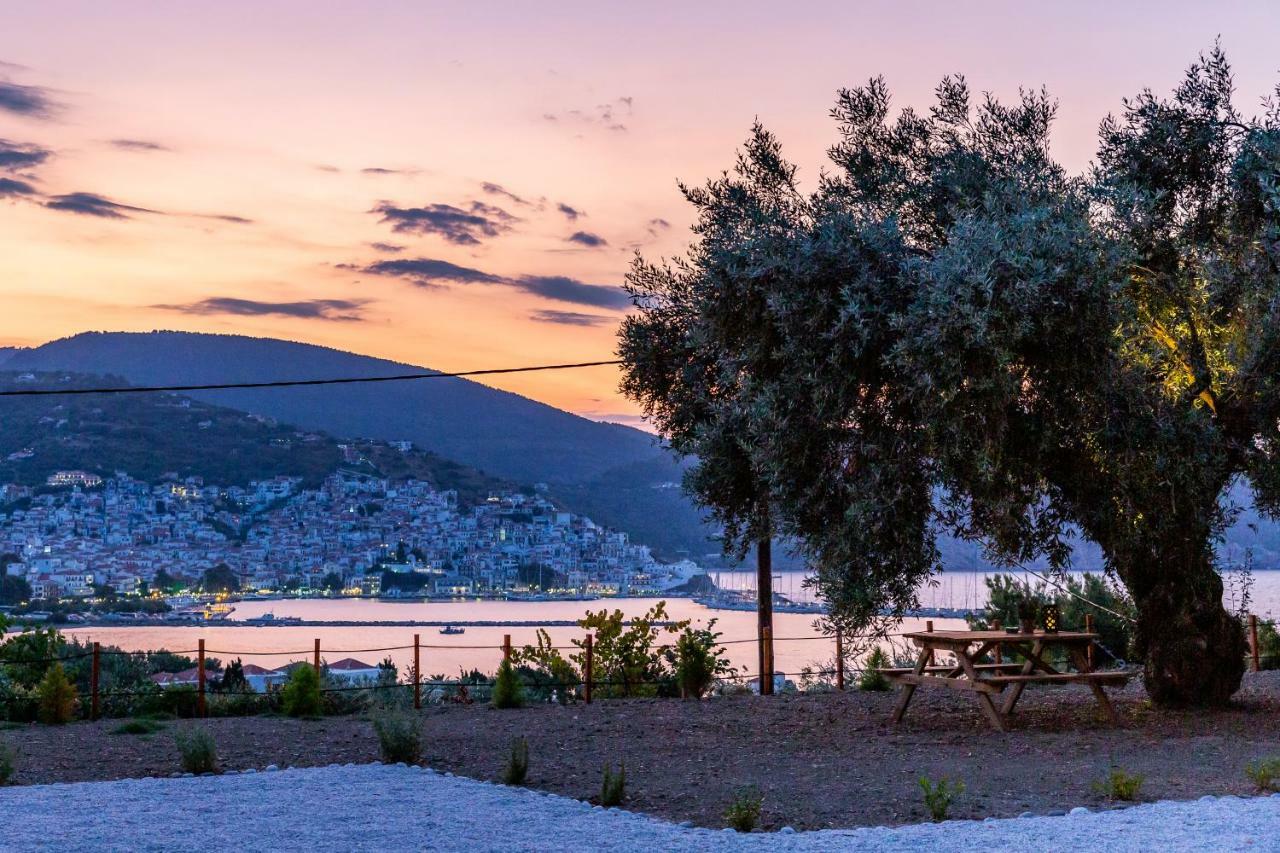 Olive Grove Apartment Skopelos Extérieur photo