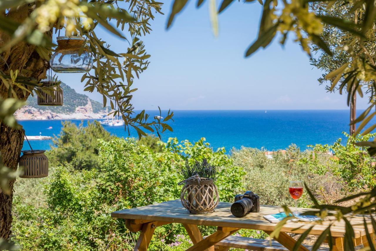 Olive Grove Apartment Skopelos Extérieur photo