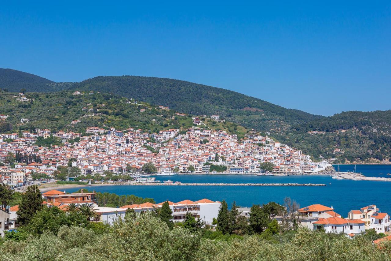 Olive Grove Apartment Skopelos Extérieur photo
