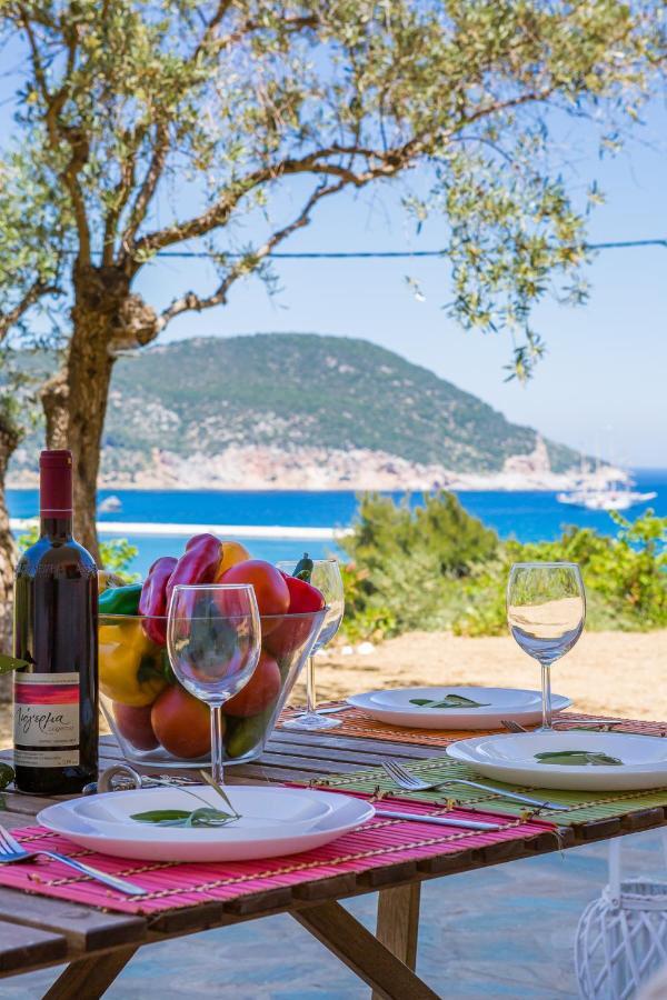 Olive Grove Apartment Skopelos Extérieur photo